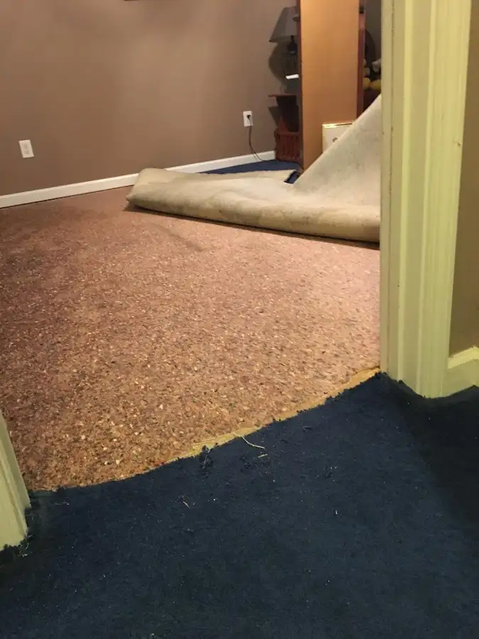 Carpet pad removal revealing water damage during Drying & Dehumidification in Shaw Heights