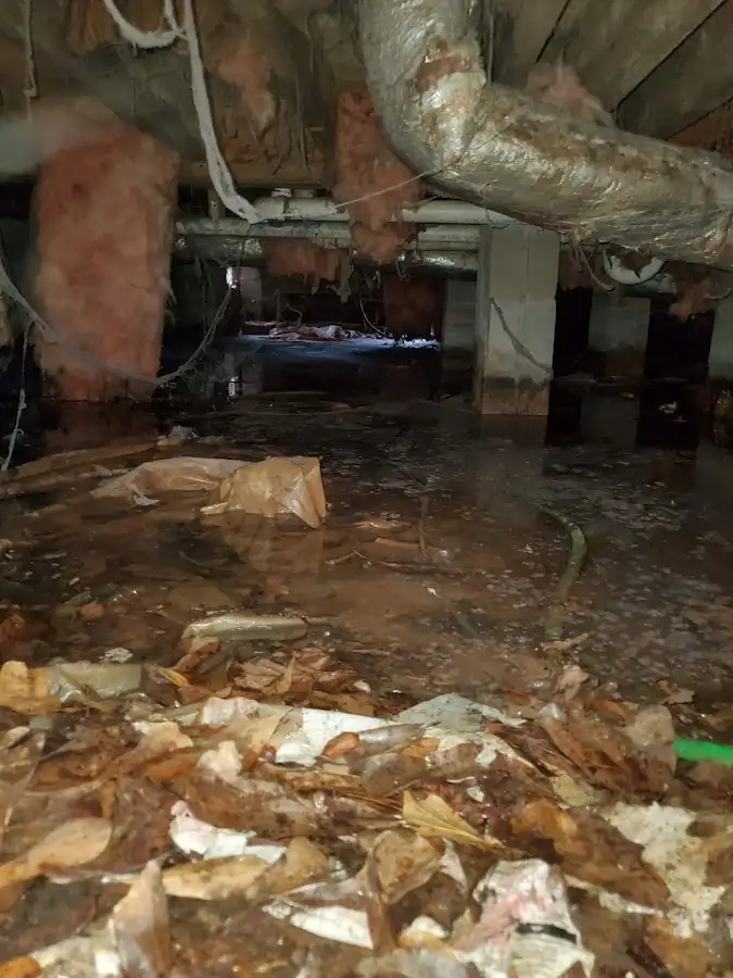 Crawl space flood assessment for Leak Detection & Repair in Shaw Heights