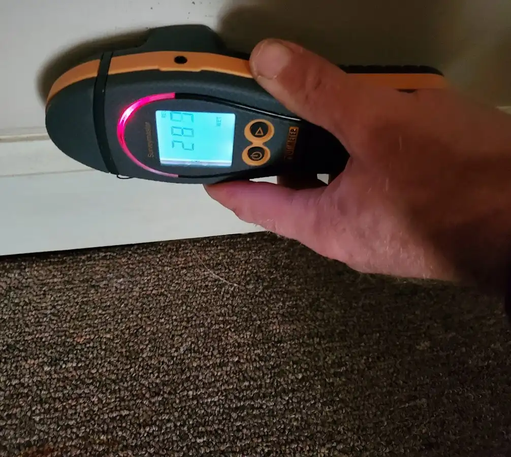 Moisture detection at baseboard during Sewage Cleanup & Sanitation in Shaw Heights